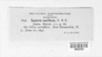 Image Associated With the Occurence